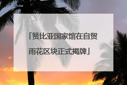 赞比亚国家馆在自贸雨花区块正式揭牌